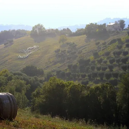 Agriturismo Fara Affittacamere Montegiorgio