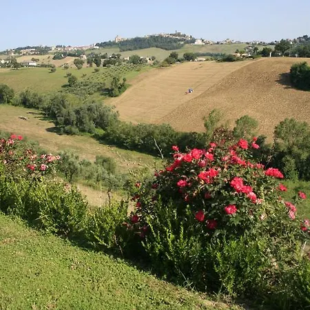 Agriturismo Fara Affittacamere Montegiorgio