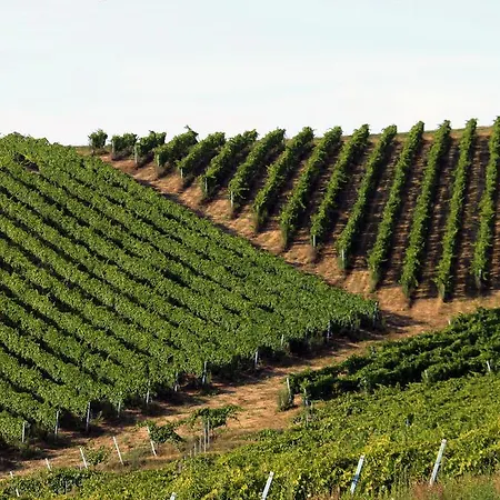 Fara Penzion Montegiorgio